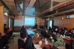 کارگاه  blended learning و moocs برگزار شد